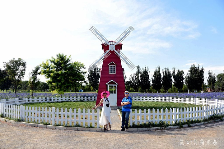 .、5 月,二月兰、油菜花盛开迎宾,6 月中旬熏衣