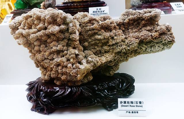 伊春地质博物馆