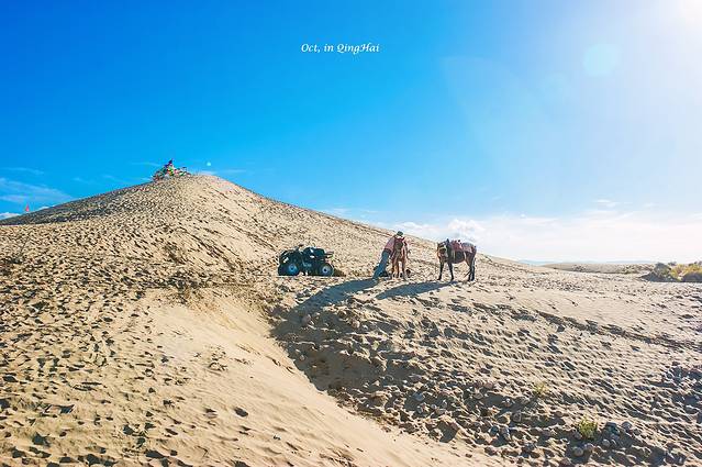 青海湖金沙湾自然保护区