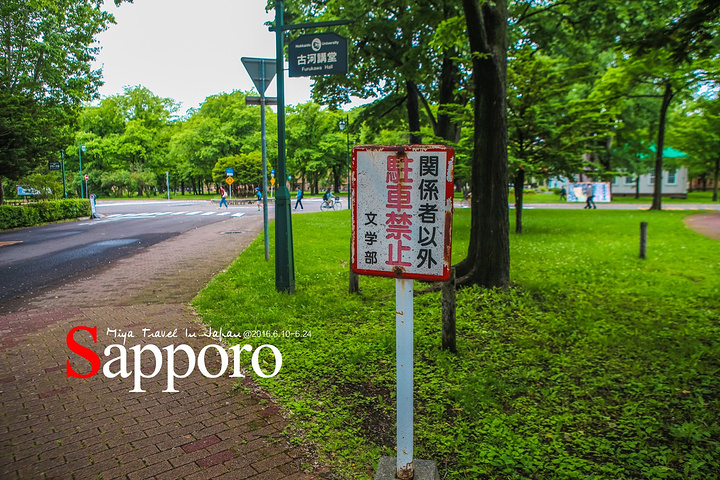 gdp增速_2018年北海gdp