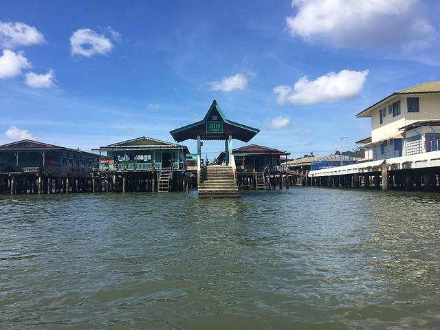 红树林