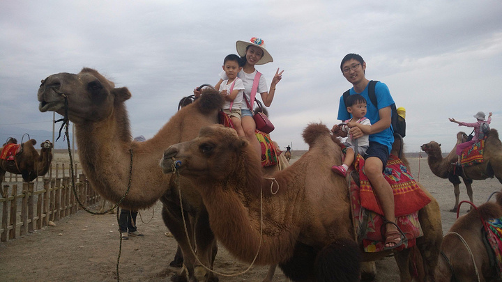 带着两个小宝贝,没能跟上导游的进度,错过了讲解有些遗憾