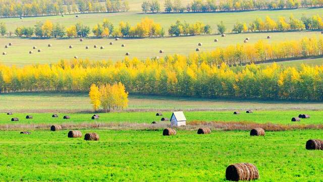 呼伦贝尔大草原