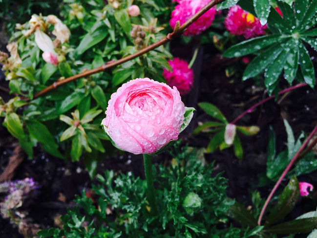 去迪士尼放飞自我_上海旅游攻略_自助游攻略