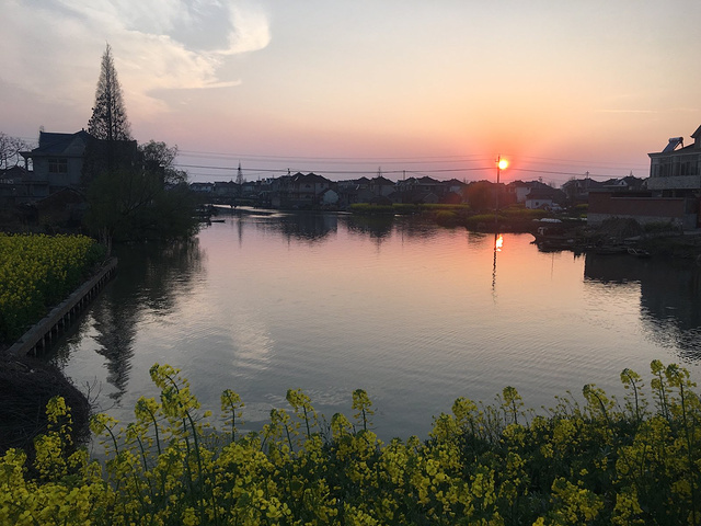 "还有鱼，他们也相当的厚道，收费好平宜哦，味道很不错，值得收荐，如果秋天有机会来看菊花，也会再次光顾的_千垛景区"的评论图片