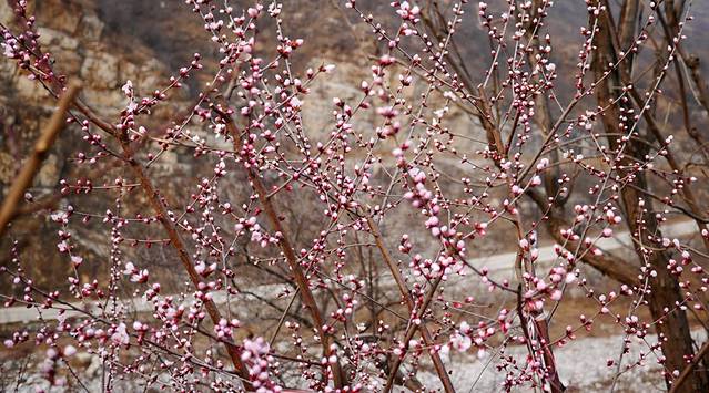 十渡风景名胜区