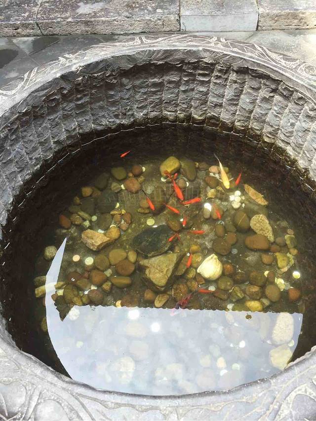 撒哈拉青年客栈