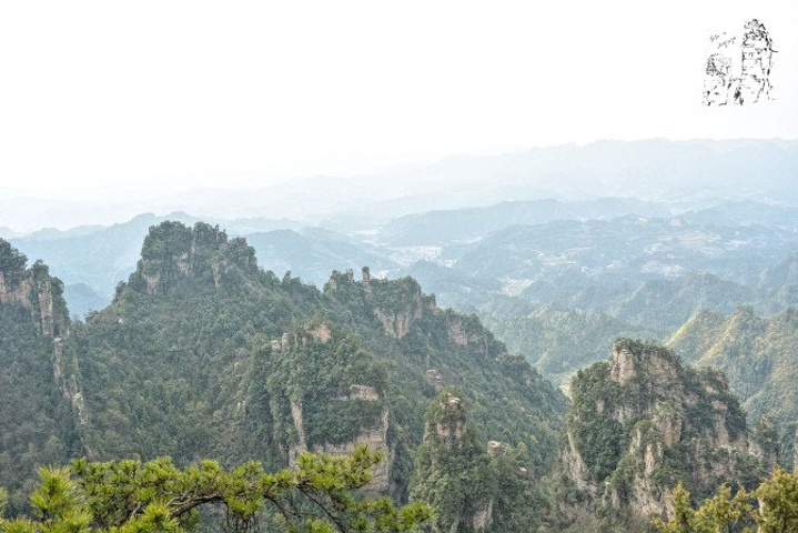 "天子山景区天子山是张家界最早开发出来的景点之一，天子山有着天下峰林“扩大的盆景，缩小的仙境”之称_张家界国家森林公园"的评论图片