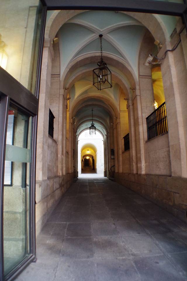 圣费尔南多皇家美术学院