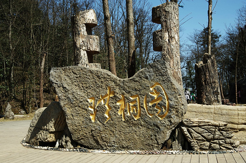 张家界国家森林公园旅游景点攻略图