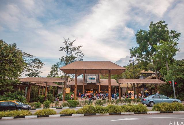 新加坡夜间野生动物园