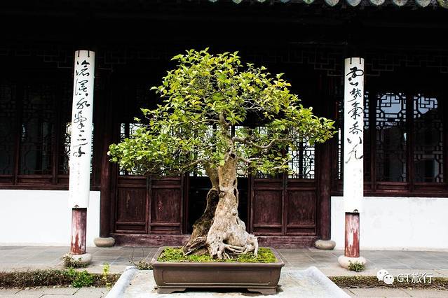 虎丘山风景名胜区-虎丘塔