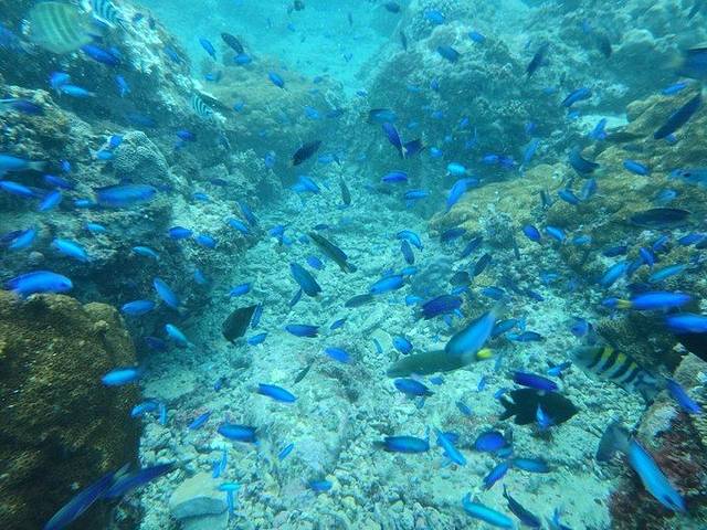 龙洞湾海洋公园