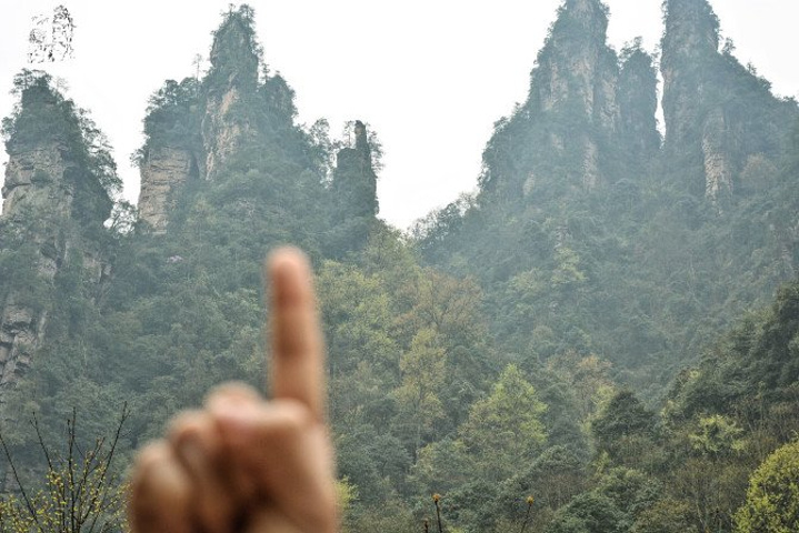 "天子山景区天子山是张家界最早开发出来的景点之一，天子山有着天下峰林“扩大的盆景，缩小的仙境”之称_张家界国家森林公园"的评论图片