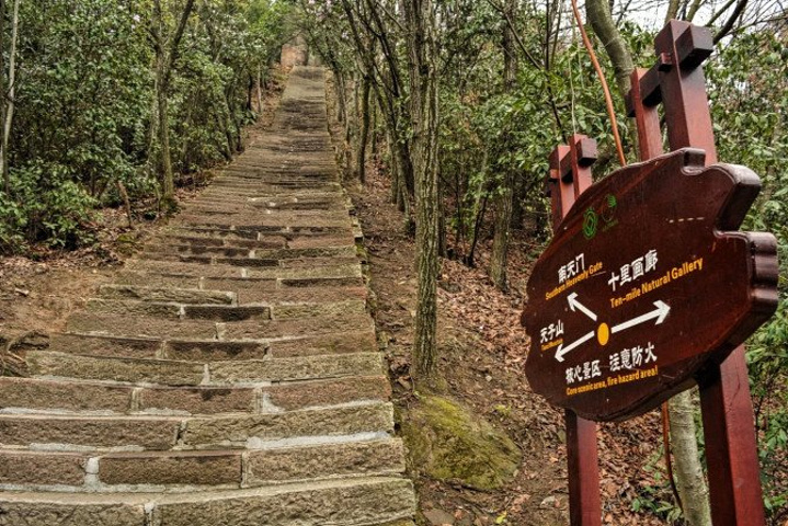 "天子山景区天子山是张家界最早开发出来的景点之一，天子山有着天下峰林“扩大的盆景，缩小的仙境”之称_张家界国家森林公园"的评论图片