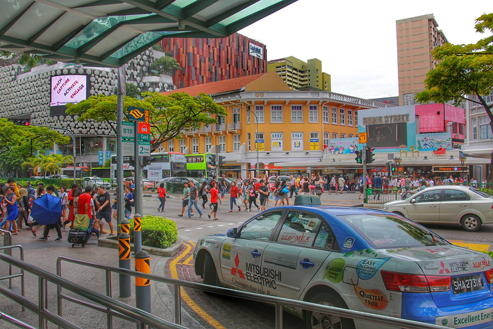 叫武吉士街,也就是我们常常说的夜市,在新加坡算是平民购物天堂,汇集