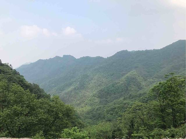 牛头山国家森林公园