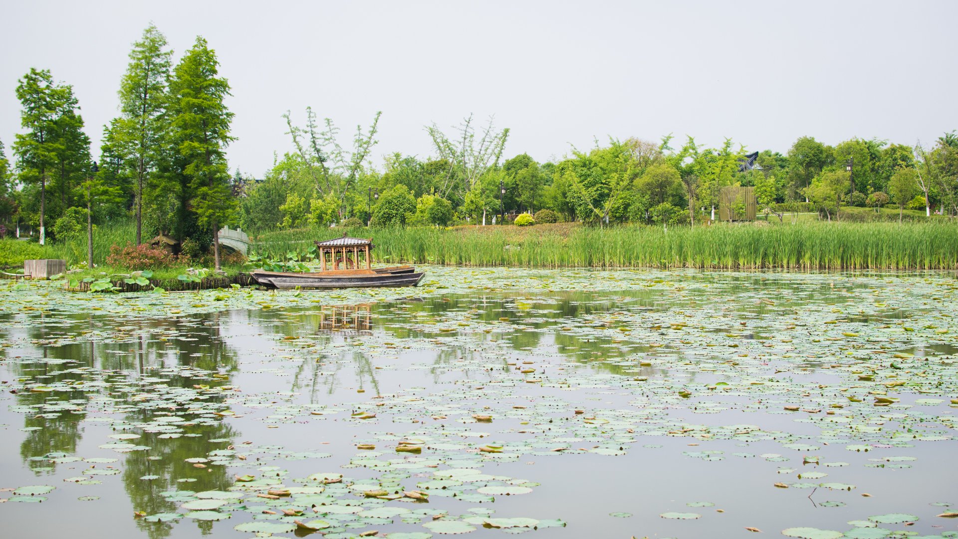 凤凰池传说当年王母娘娘的七位女儿喜欢西溪风景优美的环境经常来这里