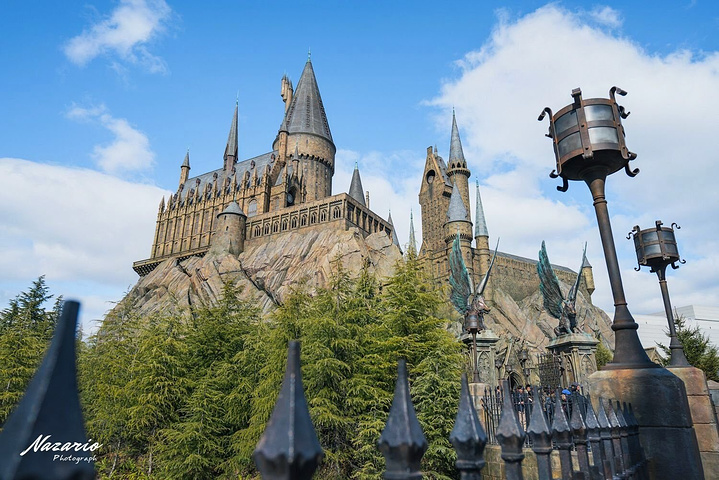 2017.霍格莫德村,在奥利凡德的商店,从堆满无数