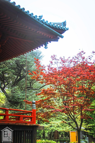 2017这一天,我们买了一张一日通地铁票,挑了几