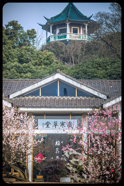 无锡梅园,一场风花雪月的故事。_无锡旅游攻略