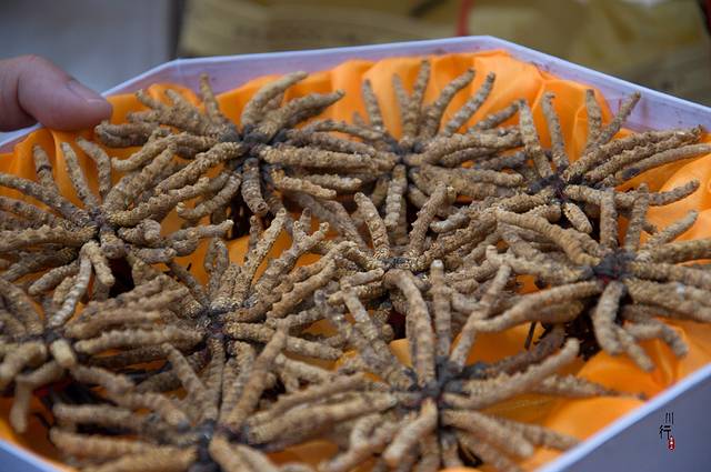 嘉绒文化美食街