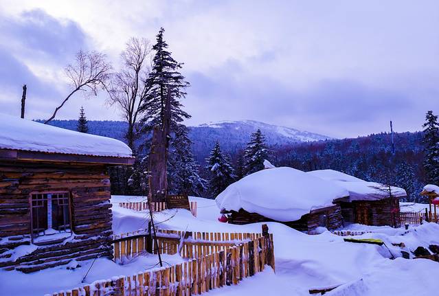 一路向北:哈尔滨-雪乡-黑河-俄罗斯 与你相约冰