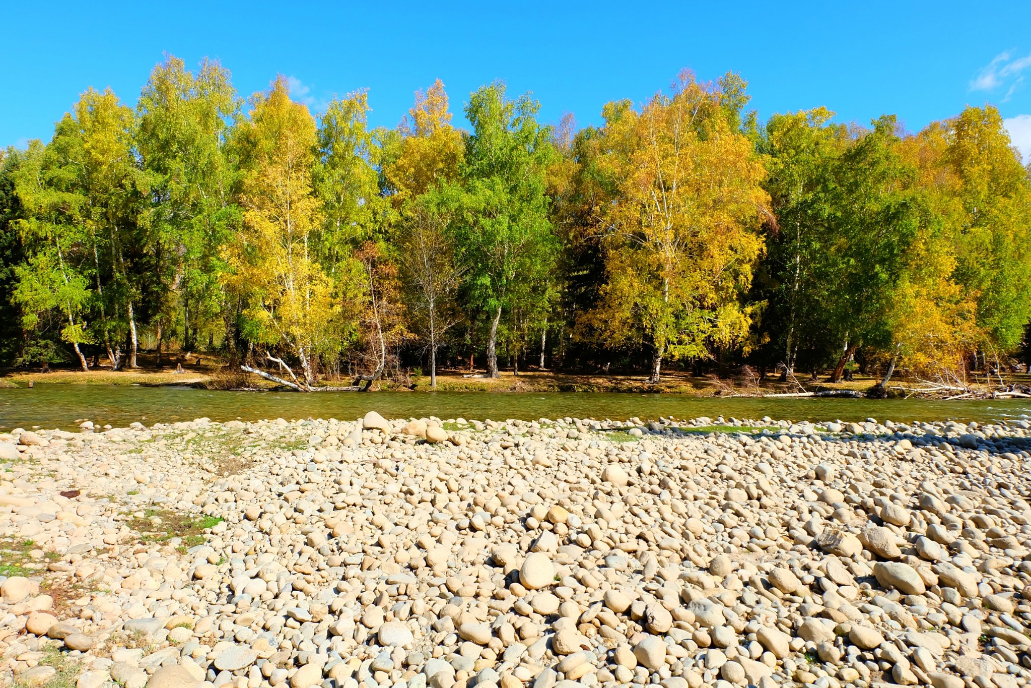 可可托海的人口_可可托海的牧羊人图片(2)