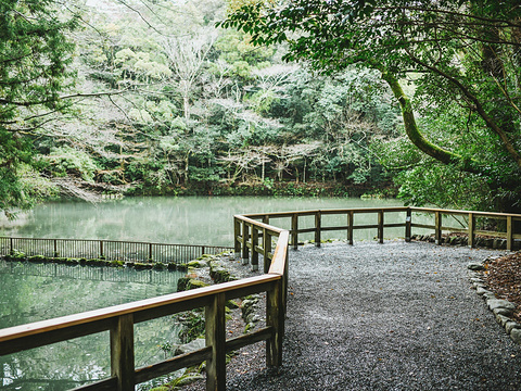 22伊势神宫 旅游攻略 门票 地址 问答 游记点评 伊势市旅游旅游景点推荐 去哪儿攻略