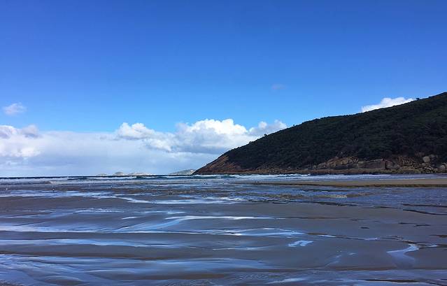 威尔逊岬国家公园