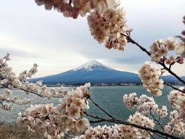 音乐盒之森美术馆