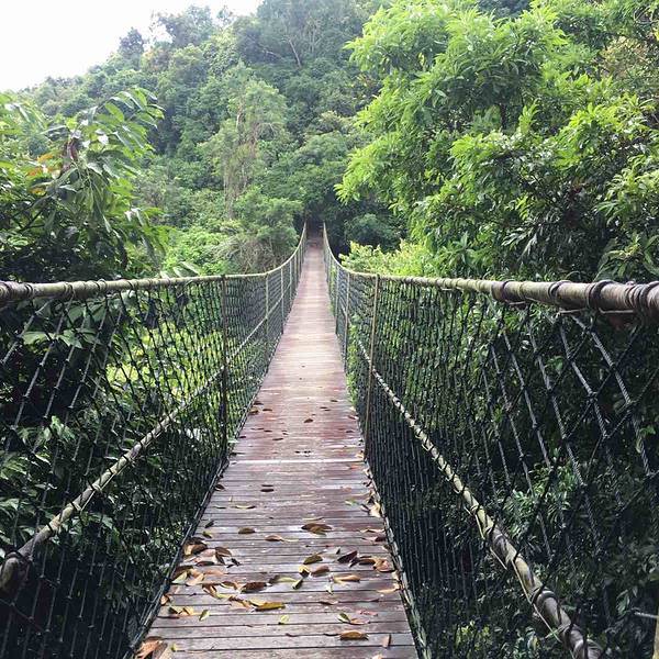 2019槟榔谷门票,三亚槟榔谷游玩攻略,槟榔谷游