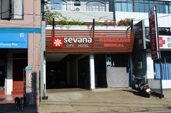 斯瓦纳城市酒店(Sevana City Hotel)图片