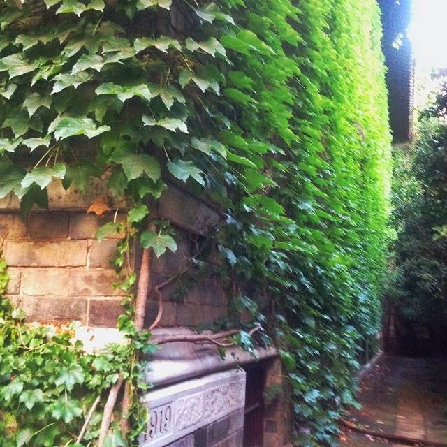 南京大学北大楼