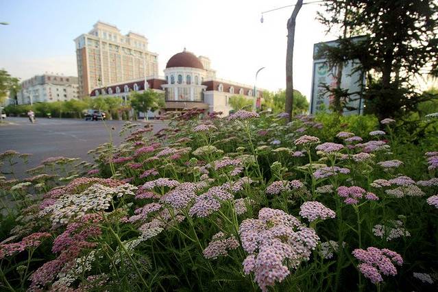 东湖生态旅游景区