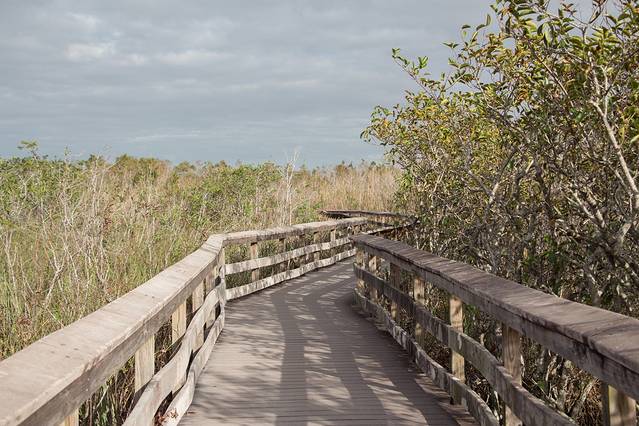 大沼泽地国家公园