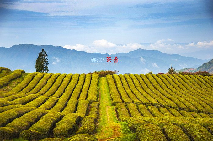 寻香识路 心之余姚-余姚旅游攻略-游记-去哪儿攻略