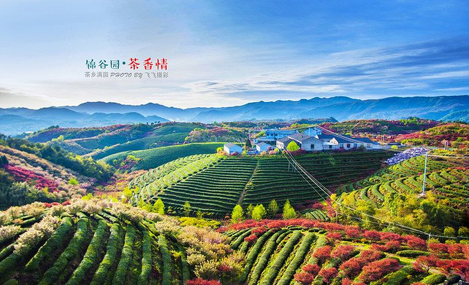 寻香识路 心之余姚-余姚旅游攻略-游记-去哪儿攻略