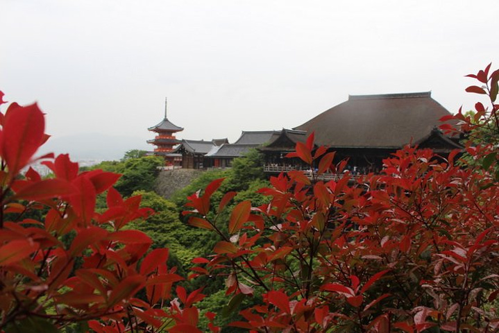 "或许是穿着和服的原因，不少外国友人还主动找我拍照_清水寺"的评论图片