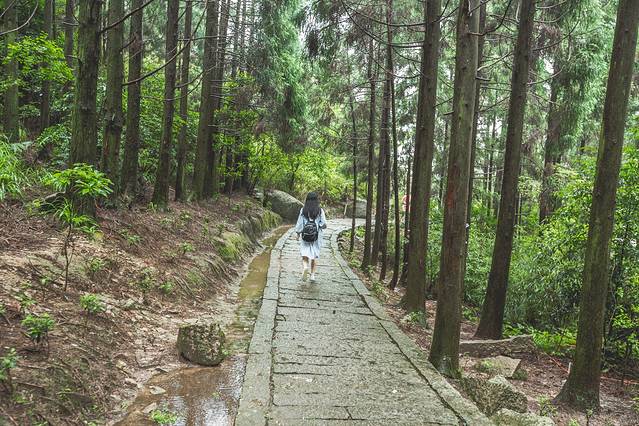 玉苍山森林公园