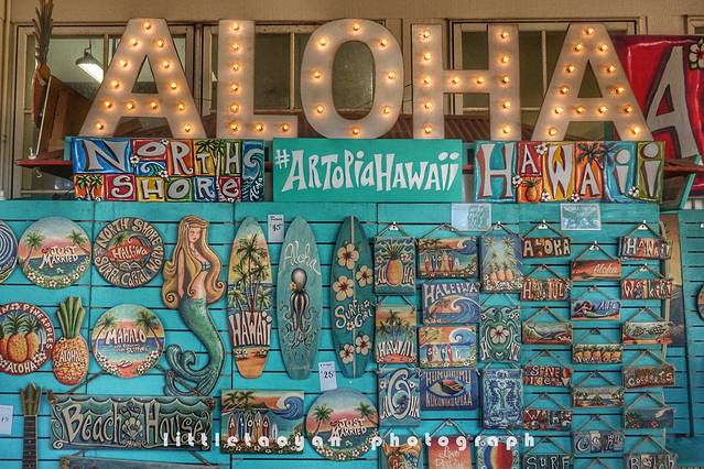 都乐菠萝种植园