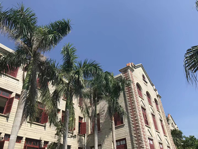 特色小吃啊,是需要现金支付的_厦门大学"的评论图片