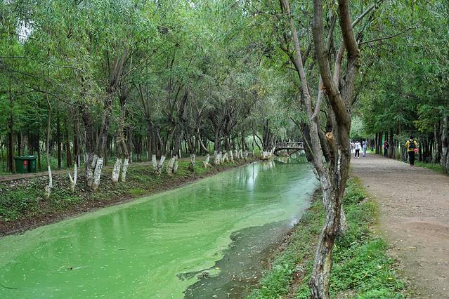 捞鱼河湿地公园