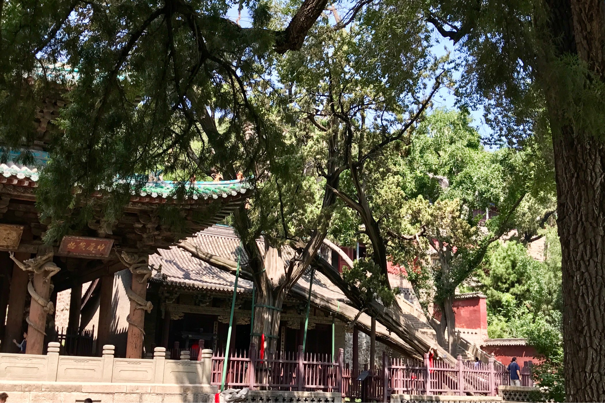 圣母庙整体造型呈现为弧形,有一种柔和美.