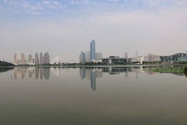 琴台小森林公园