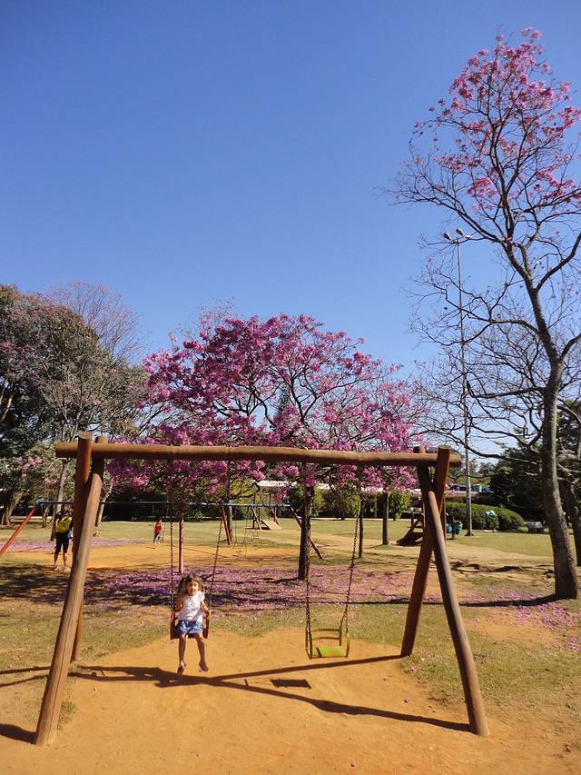 伊比拉布埃拉公园