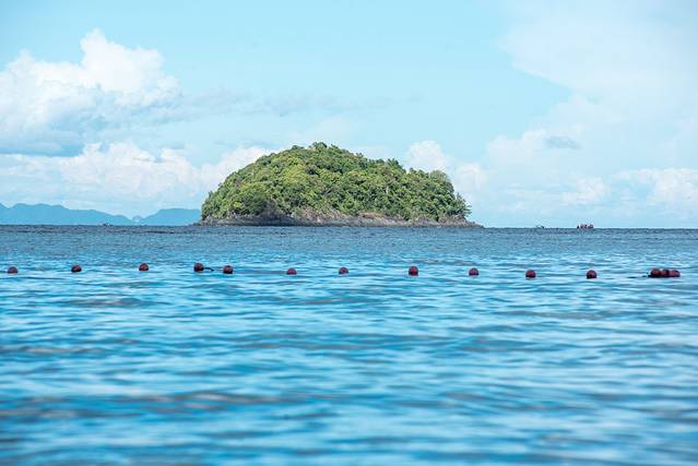 丽贝岛:夏天有多种颜色