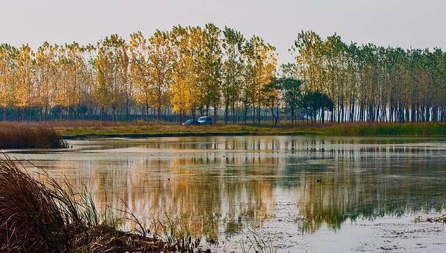 武汉后官湖国家湿地公园