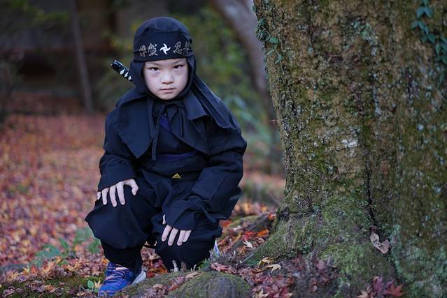 伊贺流忍者博物馆