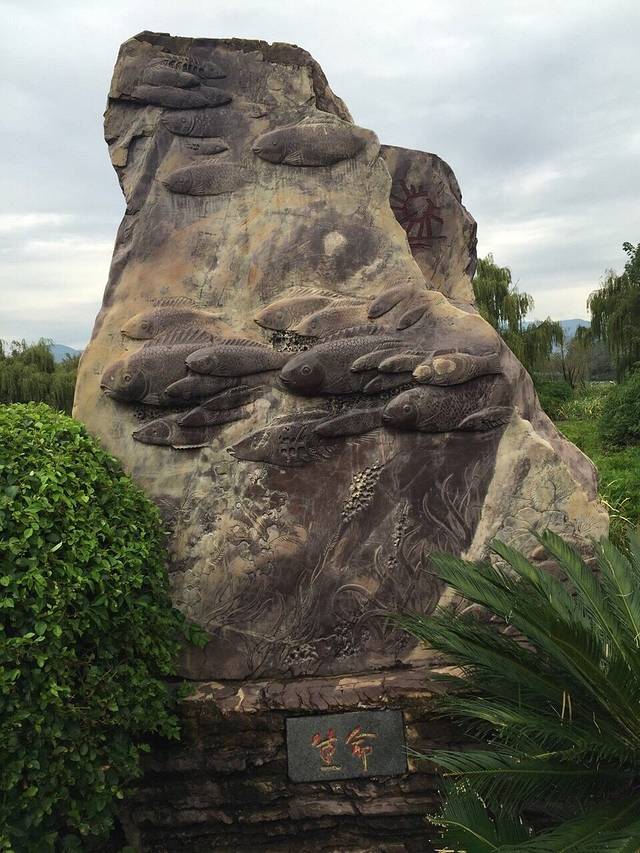 观鸟岛湿地公园